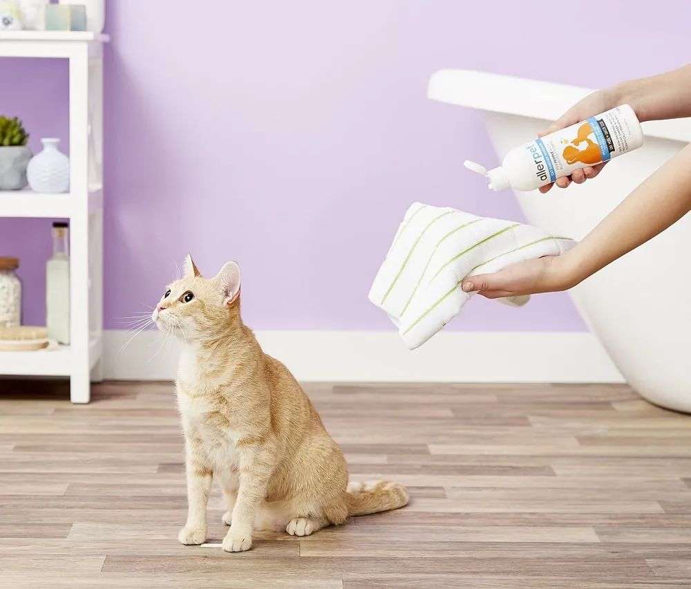 國內(nèi)外巨頭相繼入局，寵物洗護(hù)品成為新的掘金賽道？