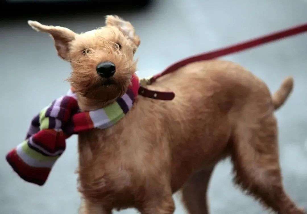 看一眼你的頭發(fā)，就知道洗發(fā)水買錯(cuò)了